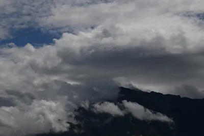 DSC_6266 (Large).JPG